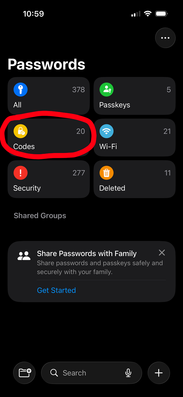 Apple Passwords codes screen